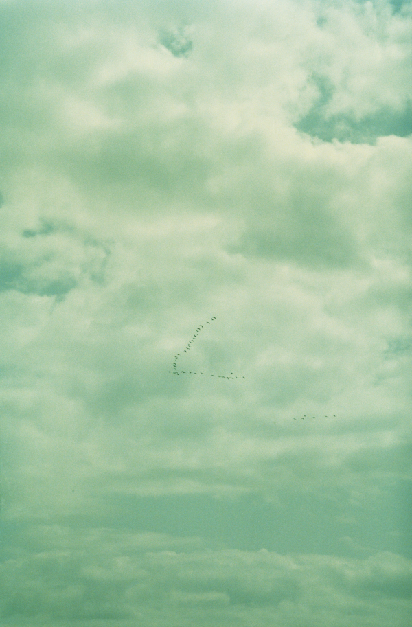 Draft Draft, 2005, photography, 190 x125 cm
Edition of 4