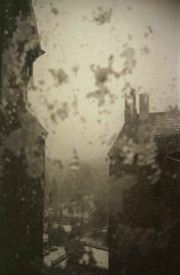 Plight Plight, 1997-2005, photography, 75 x100 cm
Edition of 4
