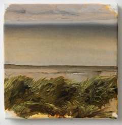 Parti fra Svinkløv Badehotel, 20 x 20 cm, oil on canvas, 2015, private collection