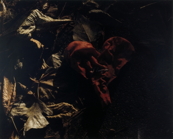 Forestillingen om Tivoli/ The Notion of Tivoli Forestillingen om Tivoli/ The Notion of Tivoli, 2000, photography, each 58 x 47 cm
Series of 32 photographies from abandoned amusementpark Tivoli in Copenhagen, DK